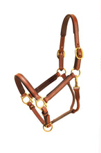 Load image into Gallery viewer, Tory Leather 3/4&quot; Padded Leather Halter
