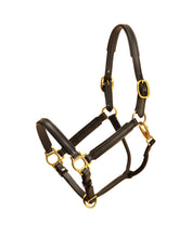 Load image into Gallery viewer, Tory Leather 3/4&quot; Padded Leather Halter
