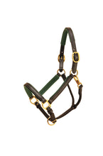 Load image into Gallery viewer, Tory Leather 3/4&quot; Padded Leather Halter
