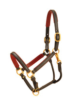 Load image into Gallery viewer, Tory Leather 3/4&quot; Padded Leather Halter

