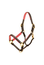 Load image into Gallery viewer, Tory Leather 3/4&quot; Padded Leather Halter
