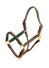 Load image into Gallery viewer, Tory Leather 3/4&quot; Padded Leather Halter
