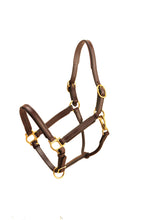 Load image into Gallery viewer, Tory Leather 3/4&quot; Padded Leather Halter
