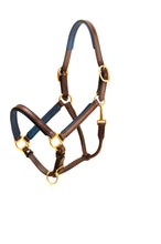 Load image into Gallery viewer, Tory Leather 3/4&quot; Padded Leather Halter
