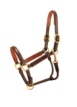 Load image into Gallery viewer, Tory Leather 3/4&quot; Padded Leather Halter
