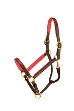 Load image into Gallery viewer, Tory Leather 3/4&quot; Padded Leather Halter
