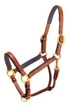 Load image into Gallery viewer, Tory Leather 3/4&quot; Padded Leather Halter
