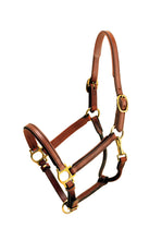 Load image into Gallery viewer, Tory Leather 3/4&quot; Padded Leather Halter
