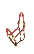 Load image into Gallery viewer, Tory Leather 3/4&quot; Padded Leather Halter
