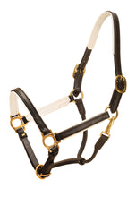 Load image into Gallery viewer, Tory Leather 3/4&quot; Padded Leather Halter

