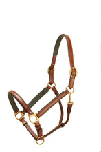 Load image into Gallery viewer, Tory Leather 3/4&quot; Padded Leather Halter
