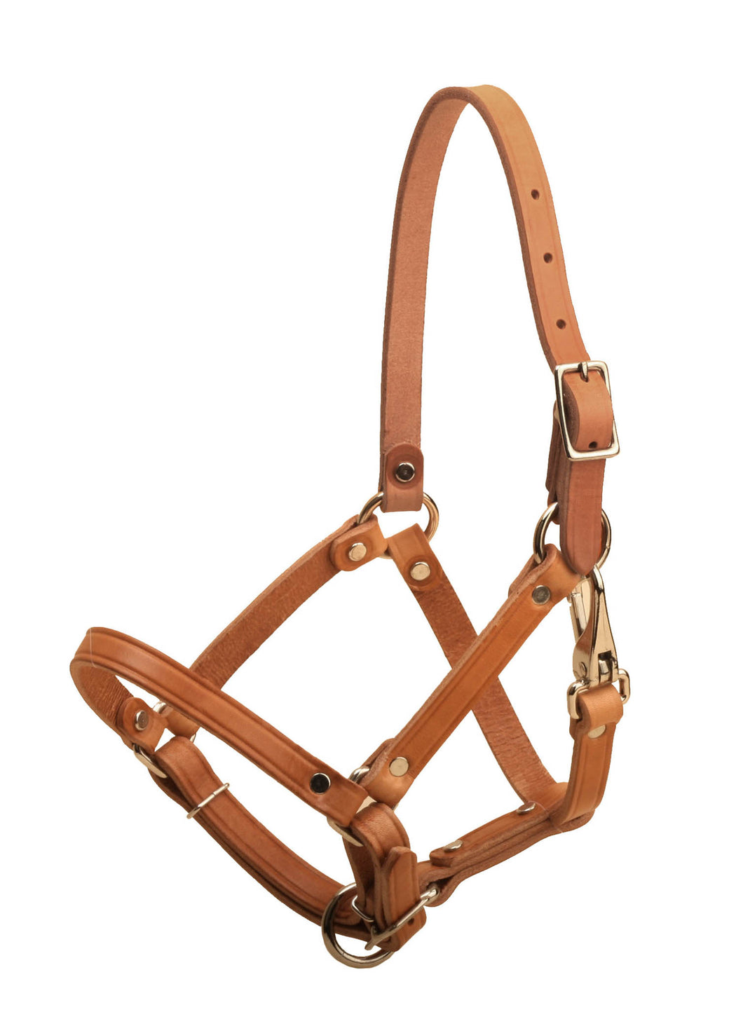 Leather Foal Halter