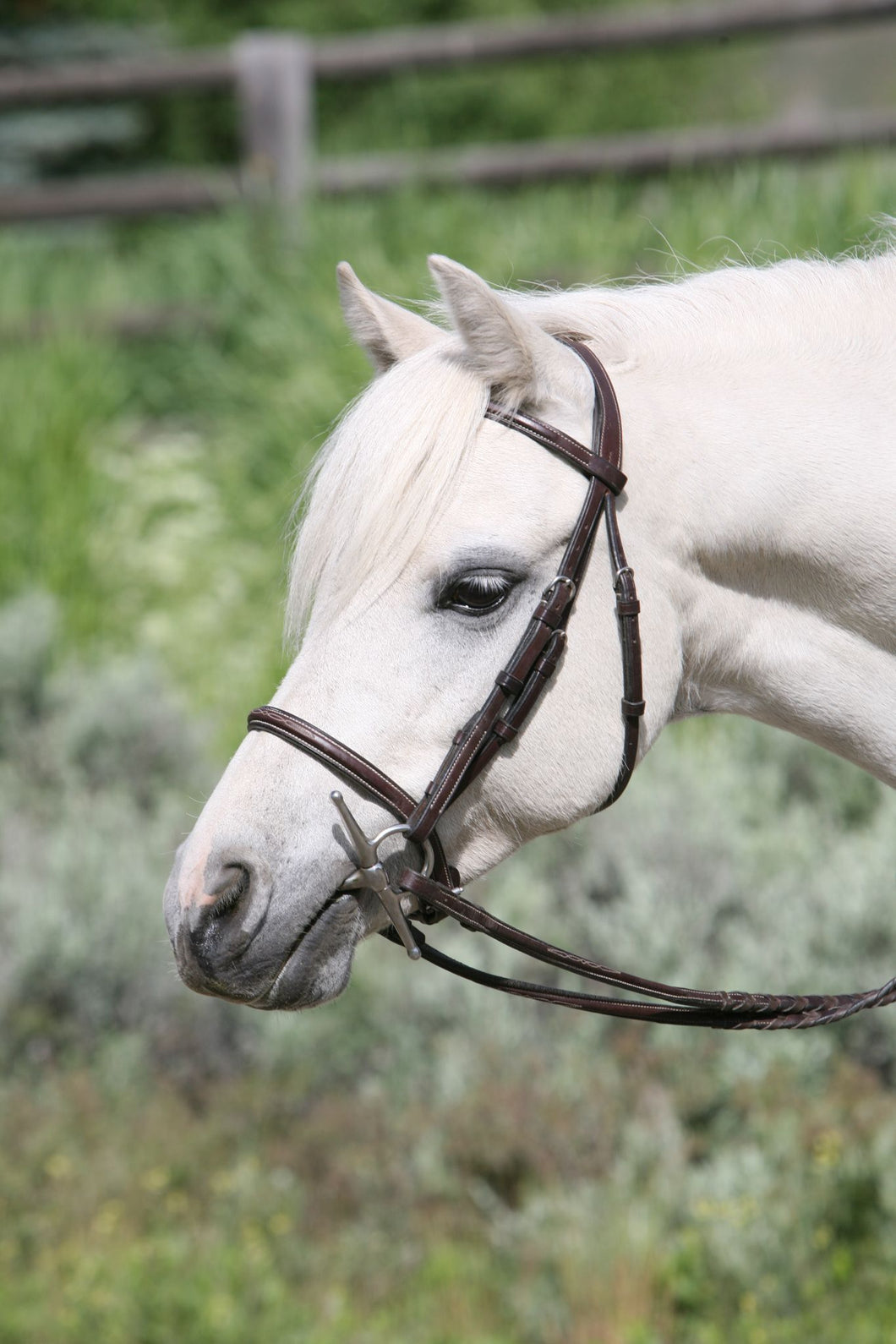 Aramas Fancy SQUARE Raised Bridle with Fancy Laced Reins