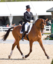Load image into Gallery viewer, Vespucci Double Raised Weymouth Bridle
