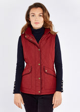 Load image into Gallery viewer, Dubarry Clonmel Vest
