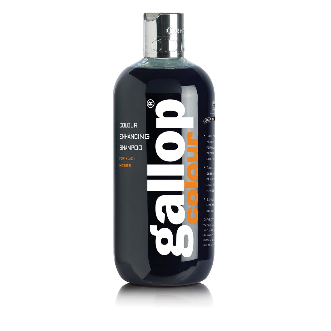 Carr & Day & Martin Color-Enhancing Shampoo