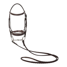 Load image into Gallery viewer, Huntley Fancy Stitched Leather Padded Hunter Bridle with Reins
