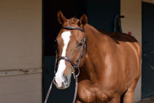 Load image into Gallery viewer, Huntley Equestrian Fancy Square Raised Hunter Bridle w/Reins
