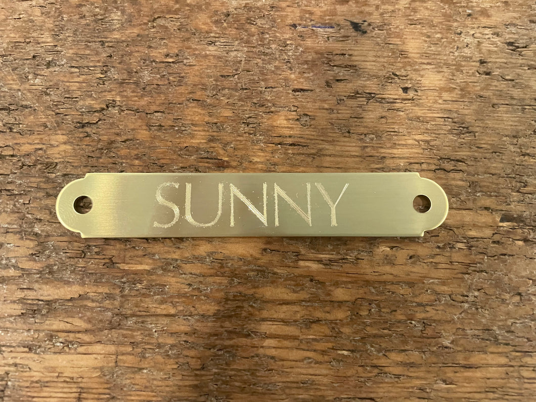 Engraved Brass Bridle/Saddle Plate
