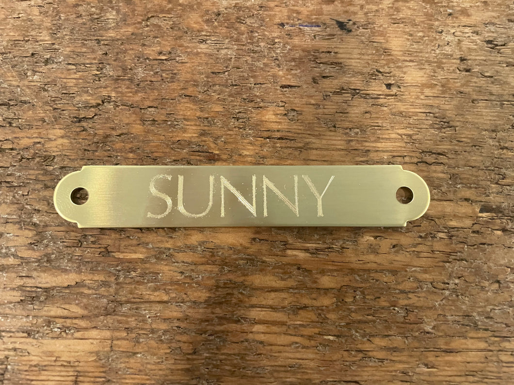 Engraved Brass Bridle/Saddle Plate