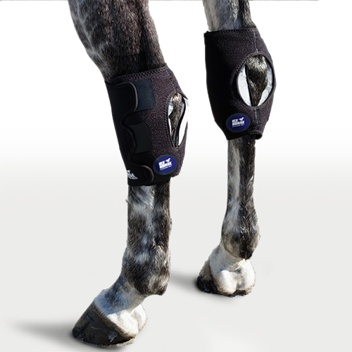 Ice Horse Hock Wrap-Single