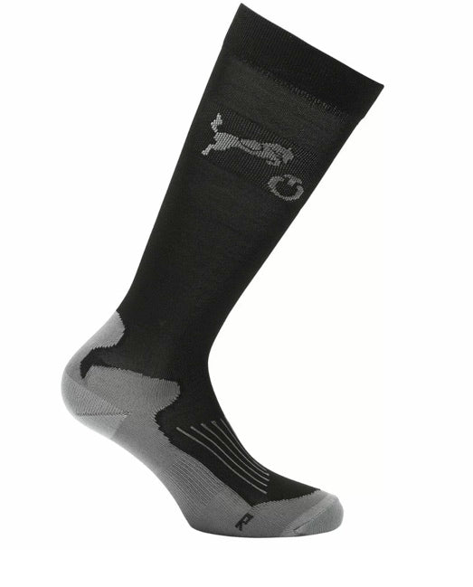 Cavalleria Toscana Jumping Horse Socks