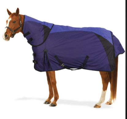 Pessoa Extreme 350G Turnout Blanket