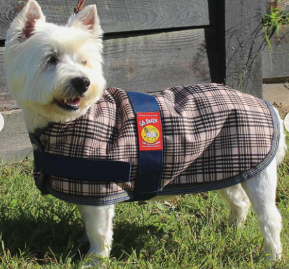 Baker Dog Coat