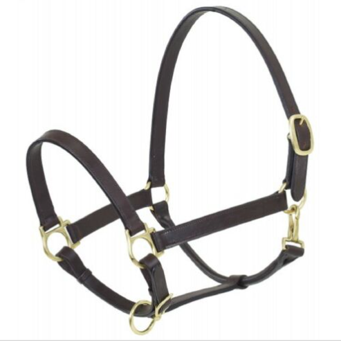 Camelot Stable Halter