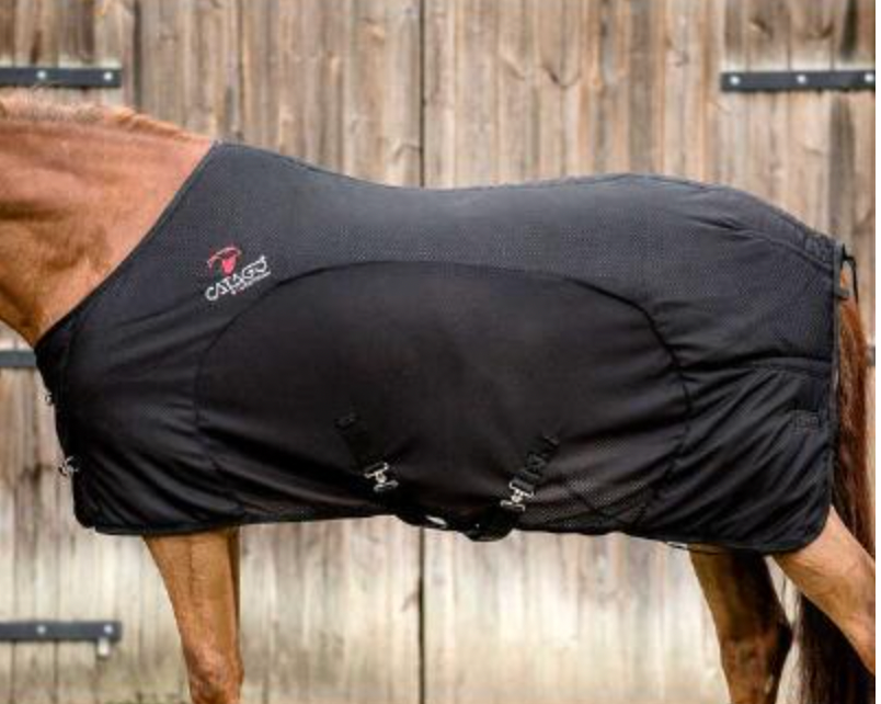 Catago FIR-Tech Therapy Rug – Sun Valley Saddlery