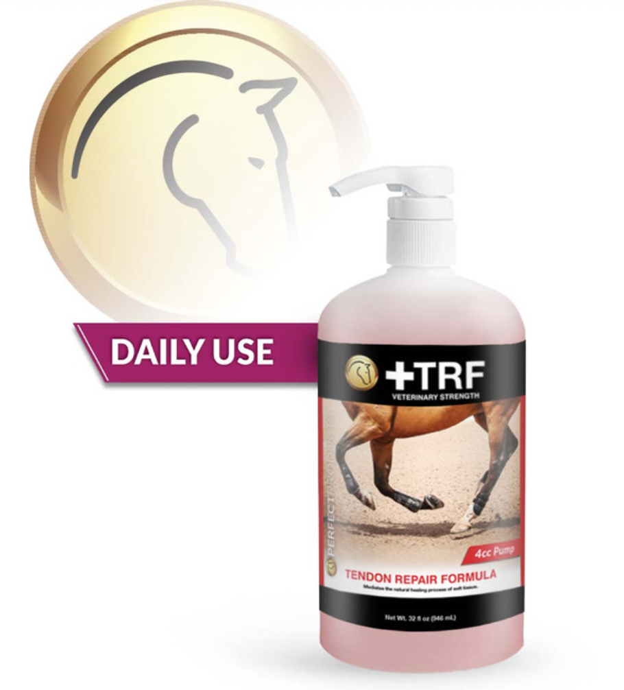 +TRF TENDON REPAIR FORMULA - 32 fl oz