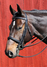 Load image into Gallery viewer, Vespucci Double Raised Weymouth Bridle
