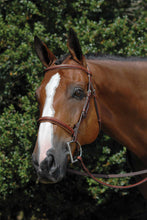 Load image into Gallery viewer, Vespucci Fancy Stitched Raised Hunter Bridle
