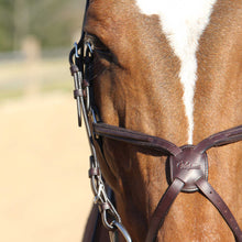 Load image into Gallery viewer, Vespucci Fancy Raised Figure-8 Bridle

