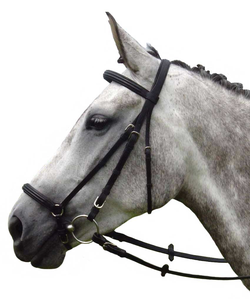 Vespucci Double Raised Dropped Noseband