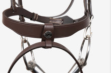 Load image into Gallery viewer, Antares training bridle
