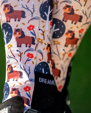 Load image into Gallery viewer, Dreamers and Schemers Pair and a Spare Socks
