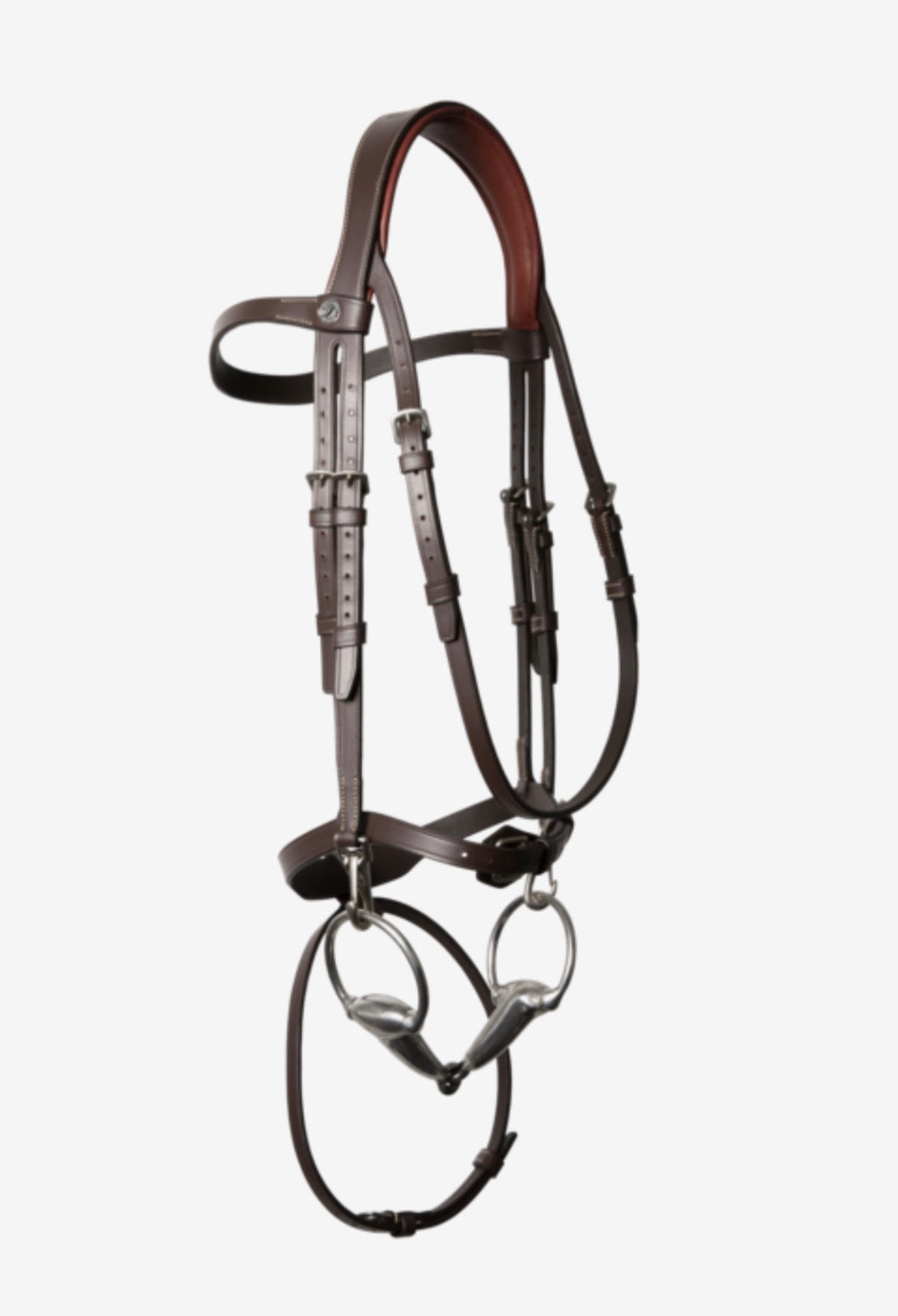 Antares training bridle