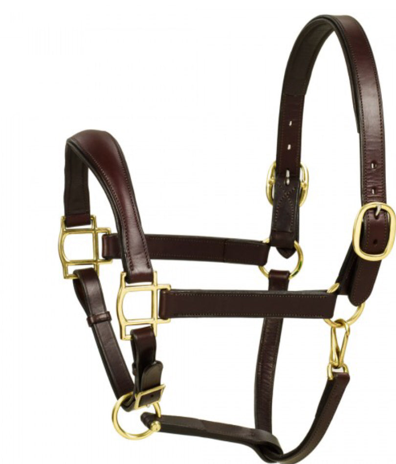 Aramas Fancy Sq Raised Padded Halter